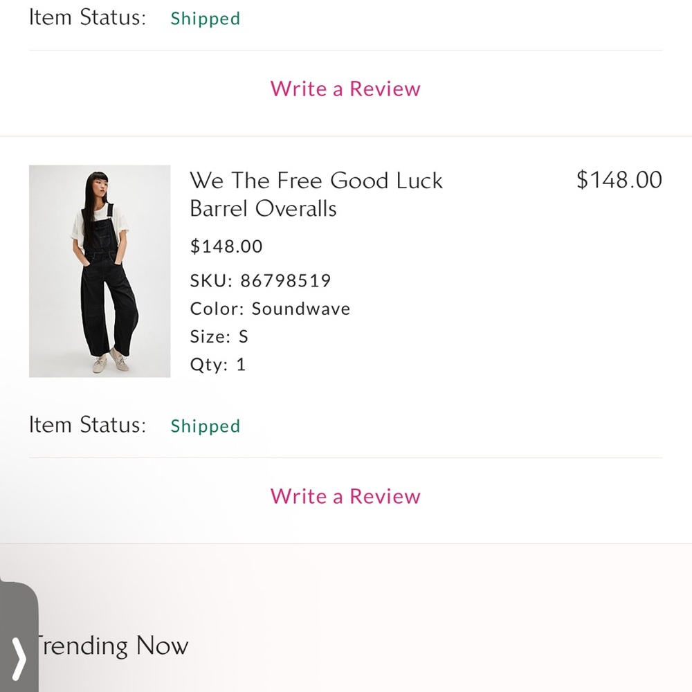 We The Free Good Luck Barrel Overalls (sound wave) - Picture 5 of 5